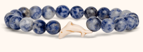 Odyssey Dolphin