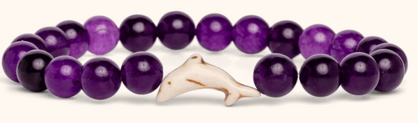 Odyssey Dolphin