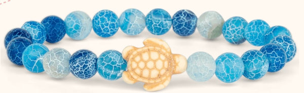 Journey Turtle