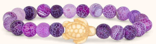Journey Turtle