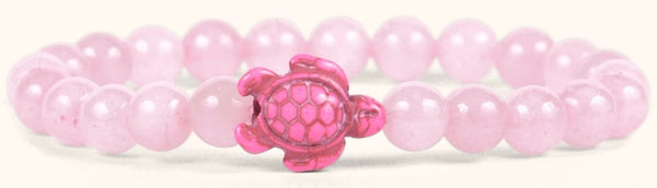 Journey Turtle