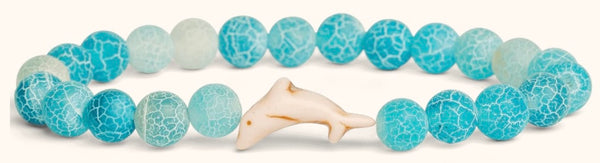 Odyssey Dolphin