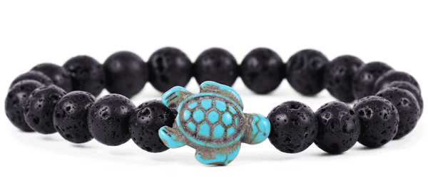 Journey Turtle