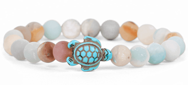 Journey Turtle
