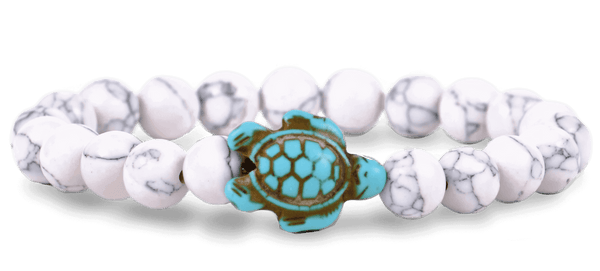 Journey Turtle
