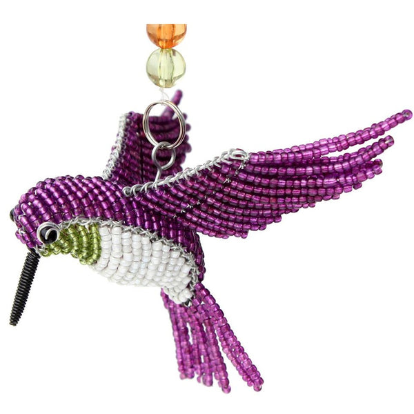 Hummingbird (10HUMSS1)