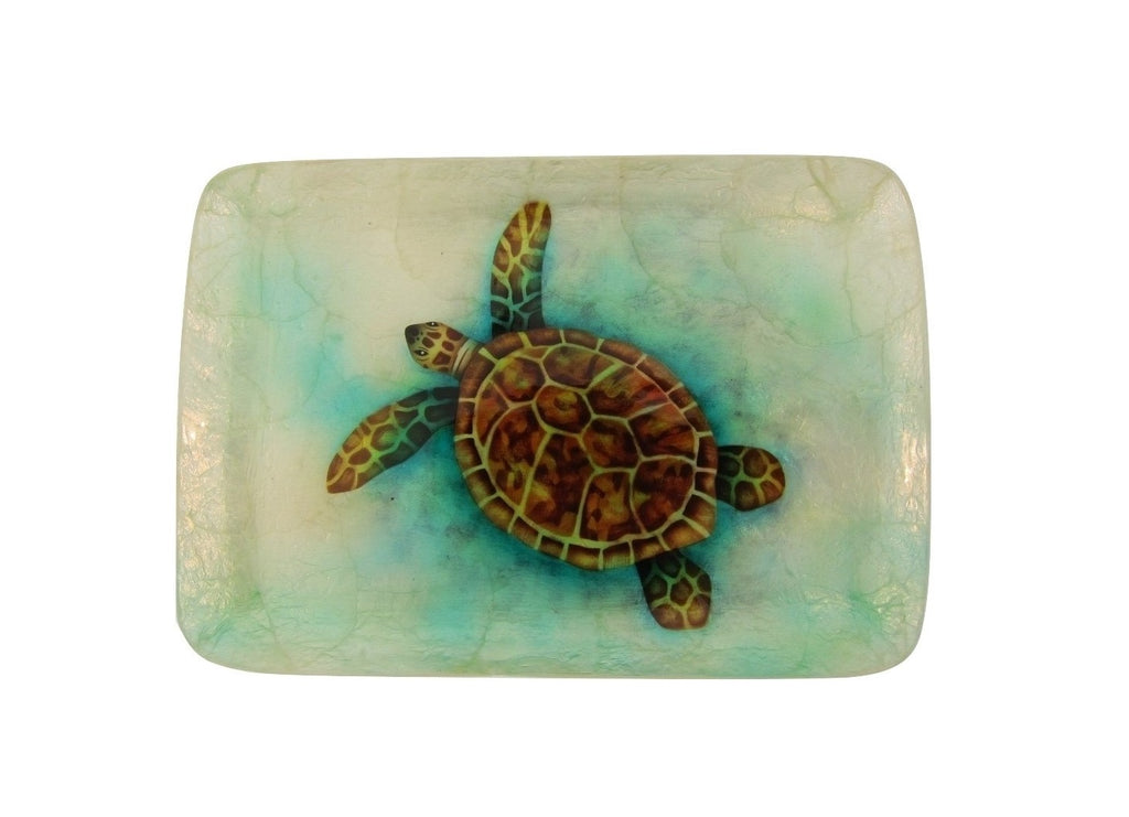Turtle Shell Tray Medium Baby Sea Turtle Tray (1629J) – Naturally Inspired Orlando