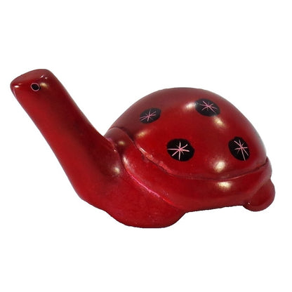 Bright Turtle (K24093)