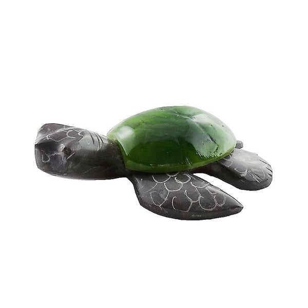 Color Turtles (MT-3.5)