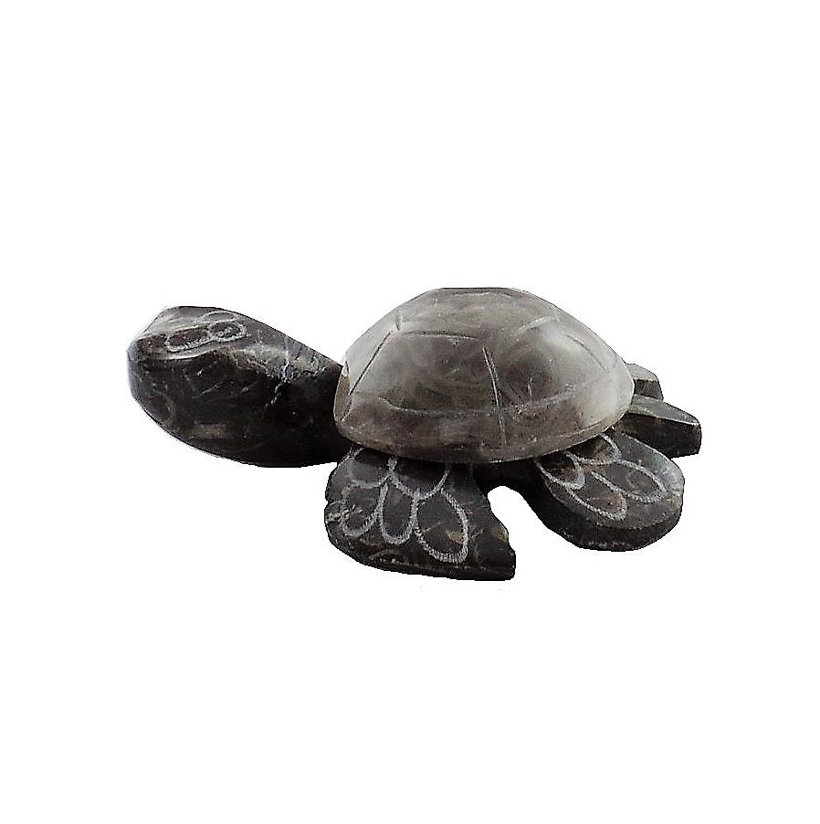 Grey Turtle (MT-3.5GY)