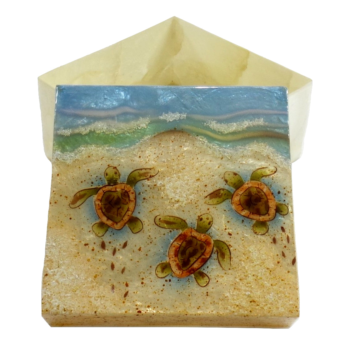 Large Baby Turtle Trinket Box (1237)