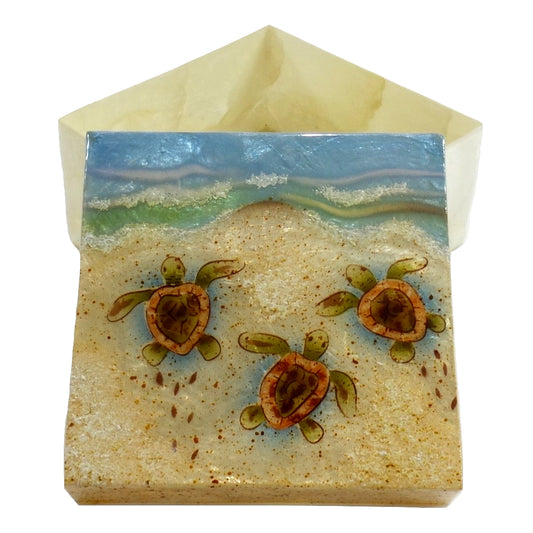 Large Baby Turtle Trinket Box (1237)