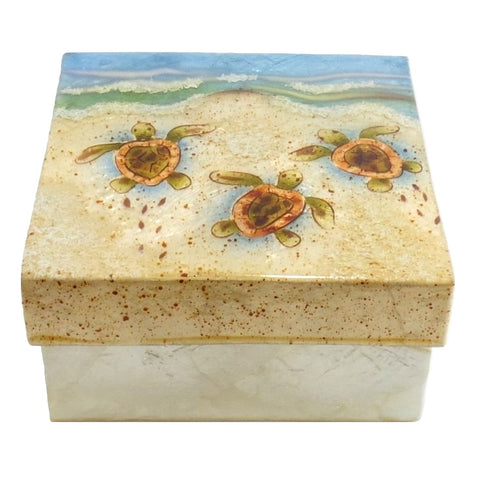 Large Baby Turtle Trinket Box (1237)
