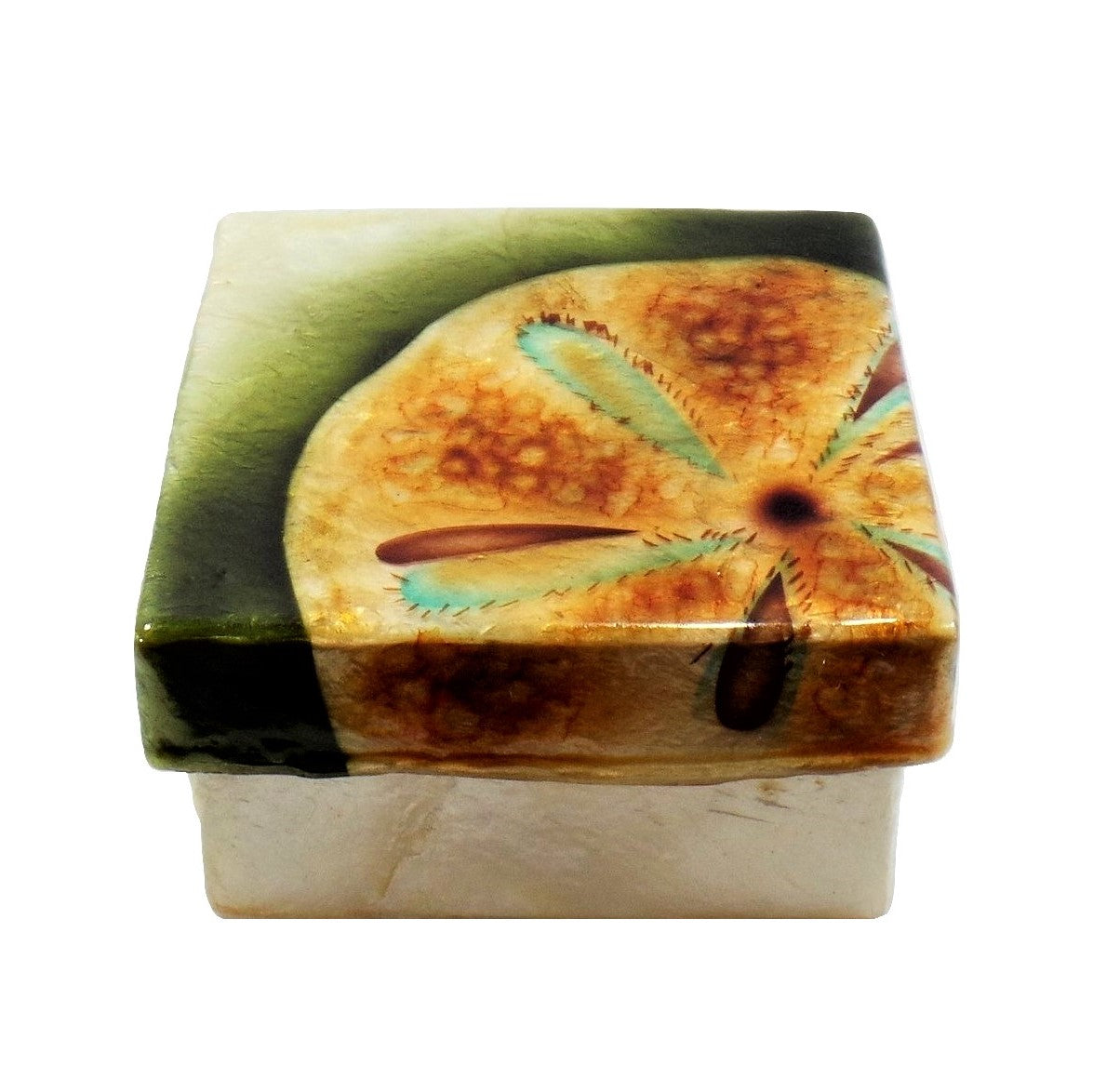 Small Sand Dollar Trinket Box (1729)