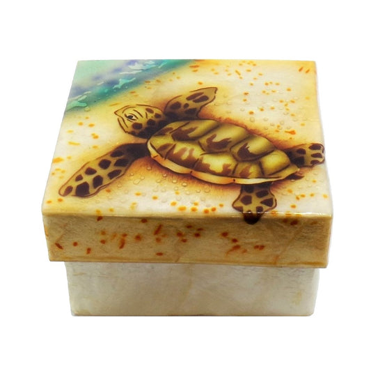 Small Baby Sea Turtle Trinket Box (1539)