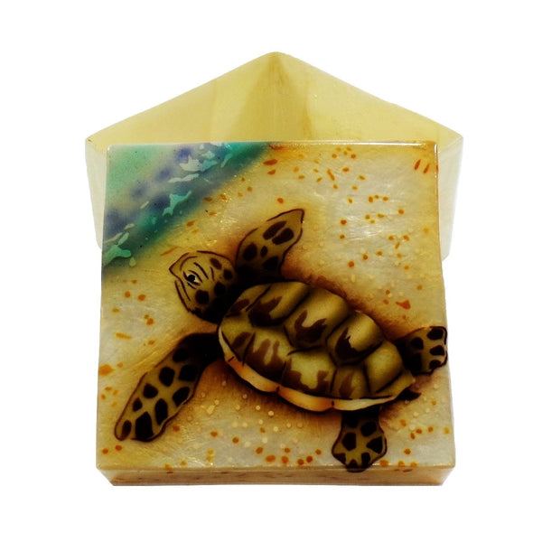Small Baby Sea Turtle Trinket Box (1539)
